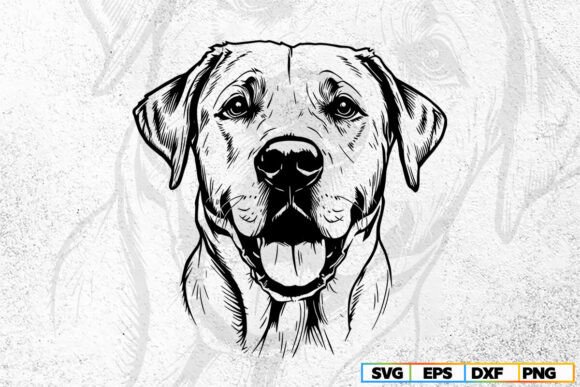 Download Labrador Retriever Svg , Dog Svg Cricut - Premium Resources