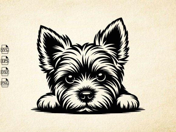 Download Yorkshire Terrier Dog Svg, Dog Lover Svg - Premium Resources