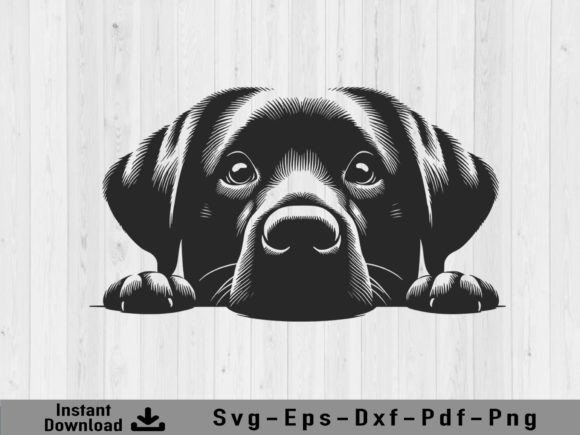 Download Peeking Labrador Retriever Dog Svg File - Premium Resources